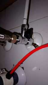 Eduard Requena mora review photo