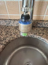 Firdevs Dogan review photo