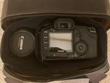 David P. review photo