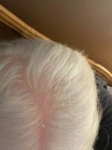 Anonymous review photo
