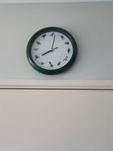 D White review photo
