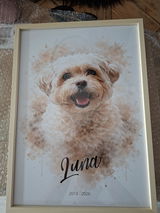Gepersonaliseerd aquarelportret van je huisdier