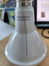 T Coleman review photo