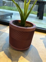 Planter Ralph