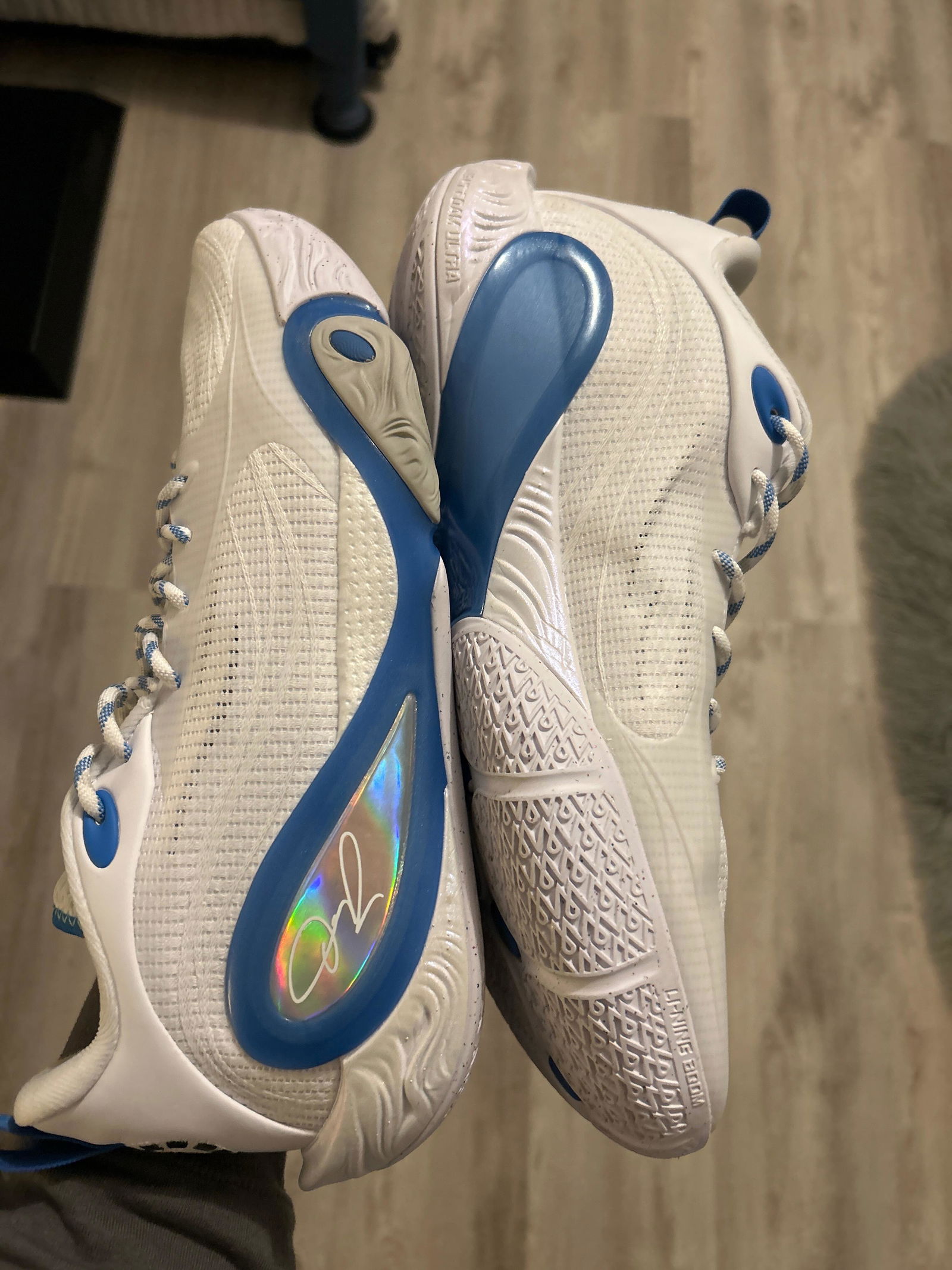 Dlo 1 