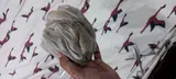 Anaya T. review photo