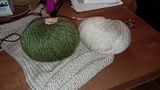 Alessia review photo