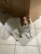 Poppy’s Mom review photo