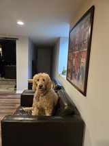 Anonymous review photo