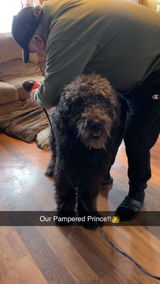Anonymous review photo