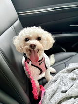 Vicki review photo