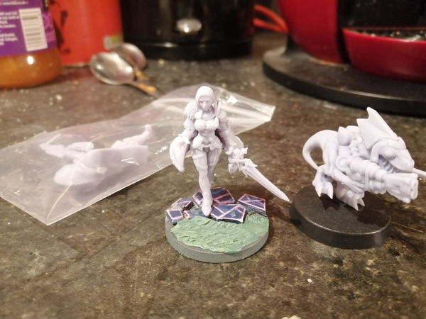 Customer photo from a Resin Miniatures Mystery Box review