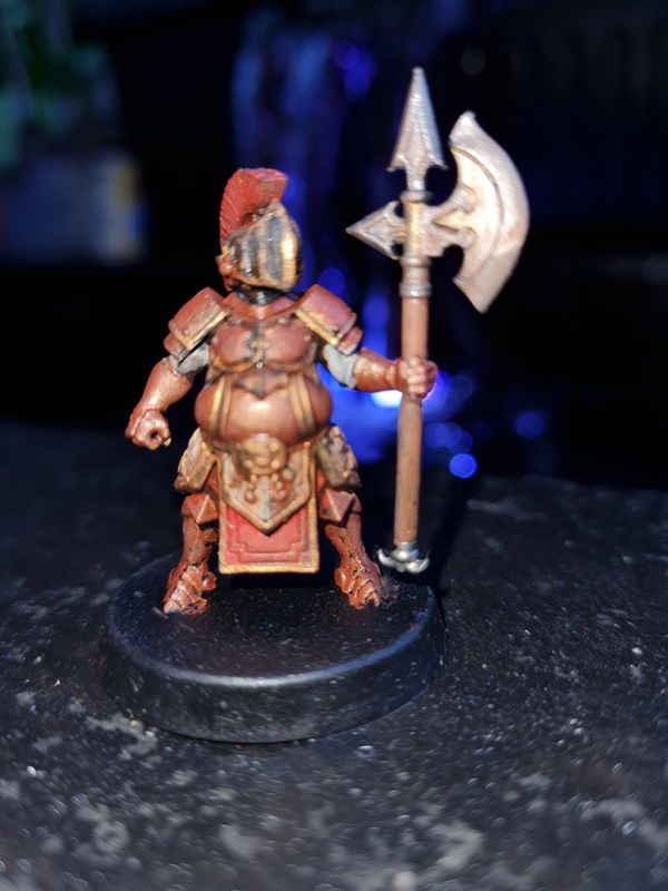 Customer photo from a Resin Miniatures Mystery Box review