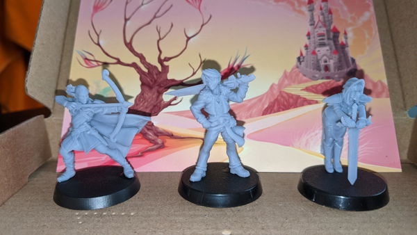 Customer photo from a 3 Fantasy Miniatures Mystery Box review