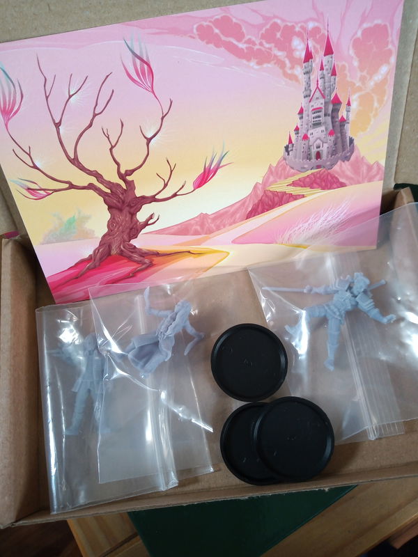 Customer photo from a 3 Fantasy Miniatures Mystery Box review