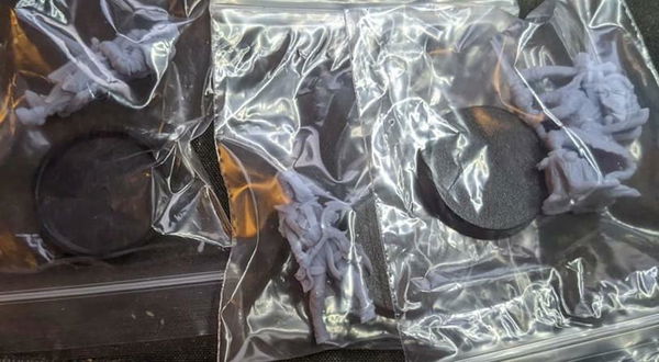 Customer photo from a 3 Fantasy Miniatures Mystery Box review