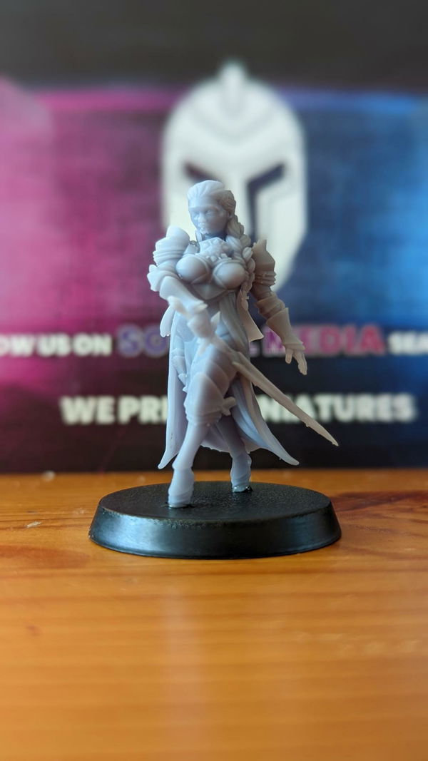 Customer photo from a 3 Fantasy Miniatures Mystery Box review