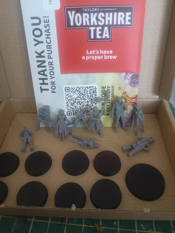Customer photo from a D&D Miniatures Mystery Box review