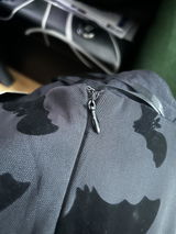 MJ LaVine review photo