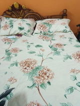 Ankita review photo