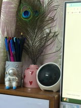 Charu review photo