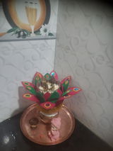 Usha V review photo
