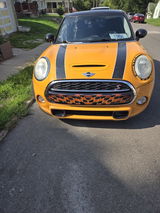 Tiffany Swope review photo