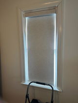 Taylor C. review photo