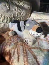 Renee R. review photo