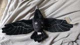 Ashton M. review photo