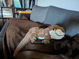 Anonymous review photo