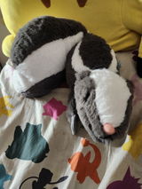 Hailey G. review photo