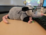 Kayla W. review photo