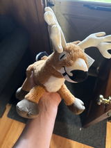 Josh S. review photo