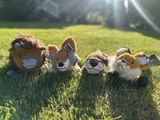 Kasey B. review photo