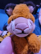 Spencer M. review photo