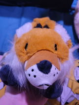Spencer M. review photo