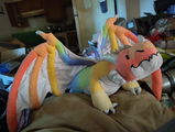 Todd R. review photo