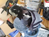ShiftyRaven review photo