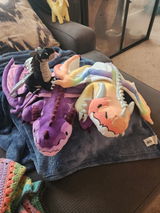 Ari review photo