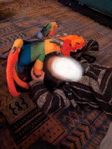 Cicely C. review photo