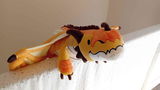 Cheepoi review photo
