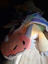 Anonymous review photo