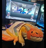 Nova review photo