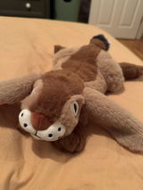 Kayleigh review photo