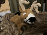 frankie review photo