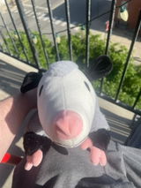 Anonymous review photo