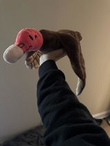 luvbirdz review photo