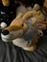 frankie review photo