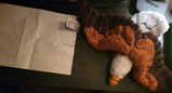 Anonymous review photo